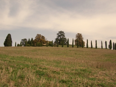 Toscana-Landschaft