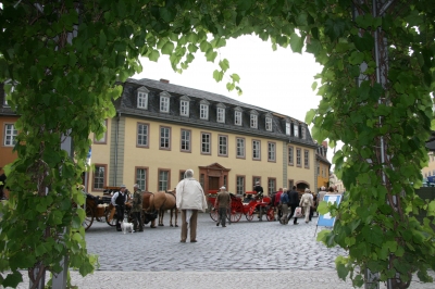 Am Goethehaus in Weimar