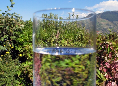 Wasserglas mit Spiegelbild