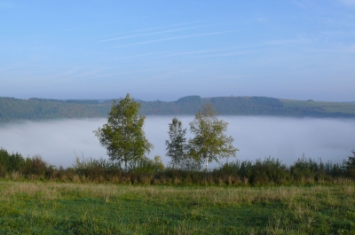 "Frühnebel über dem Meerfelder Maar"