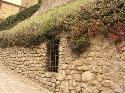 Mauer-Blumen in Vinci