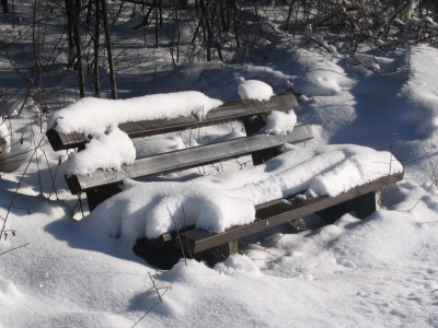 Bank im Schnee