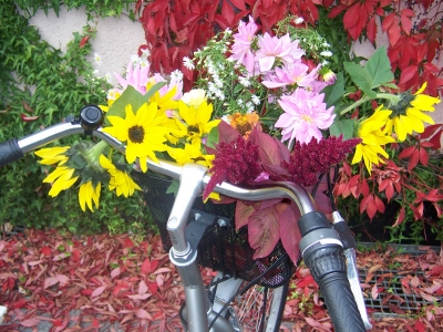 Herbststrauß im Fahrradkorb