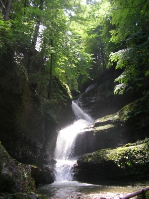 Wasserfall im Wald