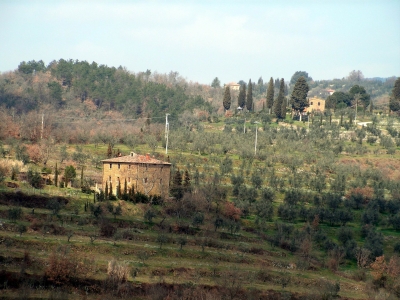 Toscanahaus im Olivenhain