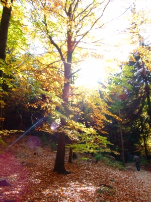 Herbstspaziergang_7