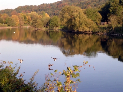 Herbst an der Ruhr