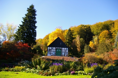 Im botanischen Garten Bielefeld