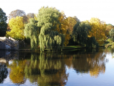 Alster am Morgen_2