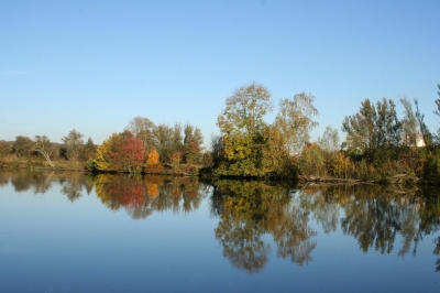 Herbst an der Donau