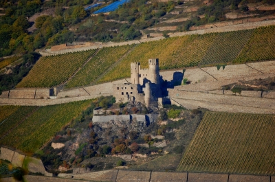 Burg Ehrenfels