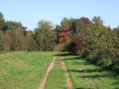 Der Weg