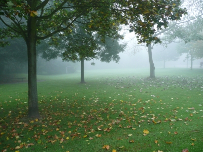 Park im Nebel