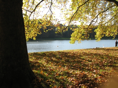 Herbstlandschaft