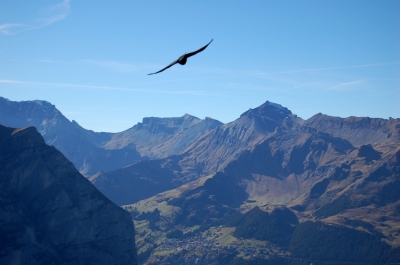 Blick aus Richtung Eigergletscher