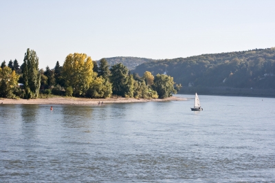 Herbststimmung am Rhein