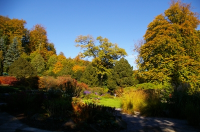 Bäume in Bielefeld