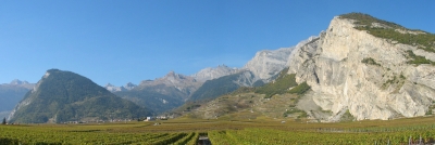 Panorama Reben im Wallis