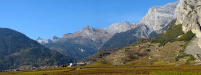 Panorama Rebberge im Wallis
