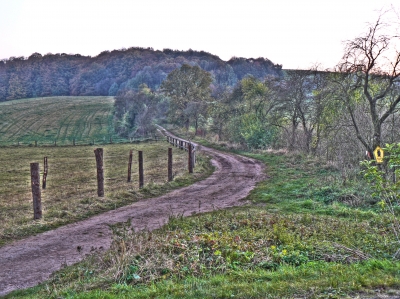 Herbstabend HDR 01