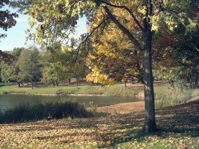 Herbst am Weiher