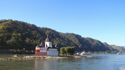 Die Pfalz im Rhein