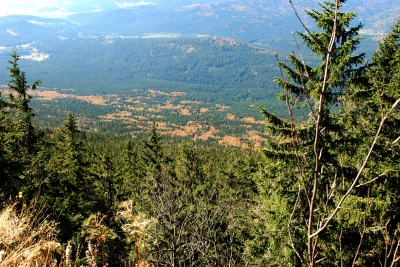 Blick vom Grossen Falkenstein