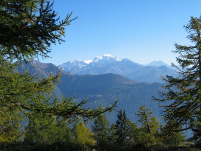 Wallis, Schweiz: Oberhalb Chiboz 3