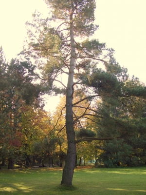 Im Kurpark von Bad Wörishofen