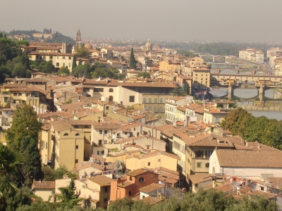 Blick auf Florenz