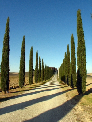 Orcia tal in Herbst