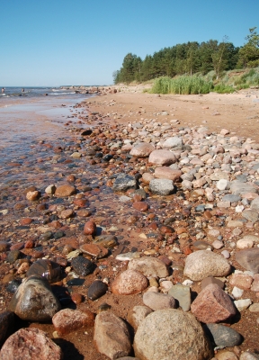 steiniger Strand in Lettland
