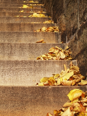 Stufen im Herbst