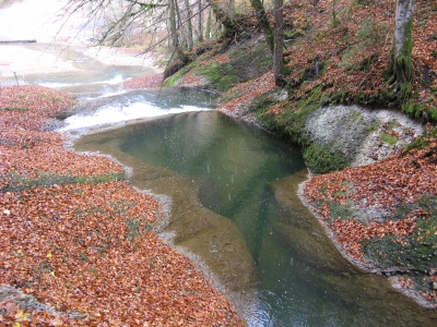 Herbst im Eistobel