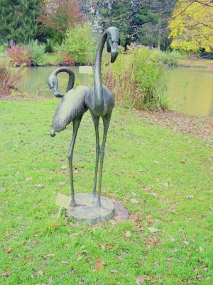 Flamingos im Kurpark von Bad Wörishofen