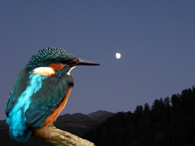 Zunehmender Mond, gut für den Fischfang