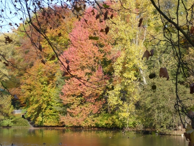 Herbststimmung