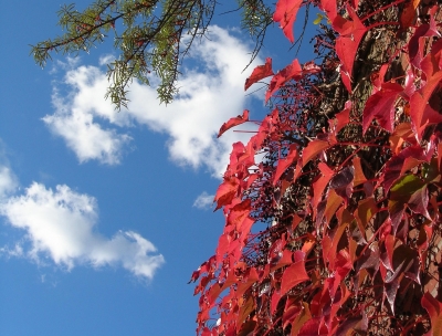 Himmlischer Herbst