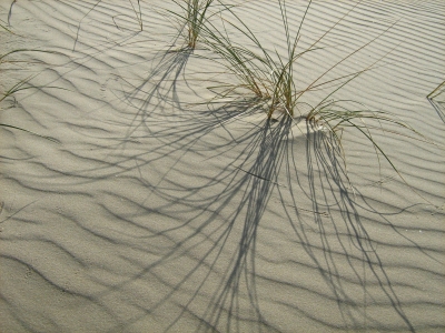Sand und Gras