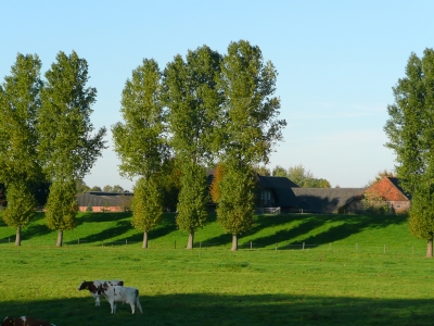 Bauernhof am Rhein