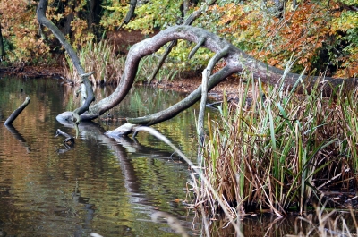 naturbelassen