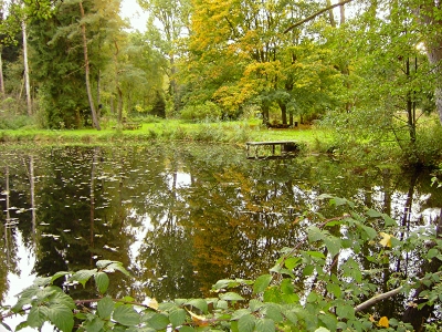 Kleiner Teich im Herbst