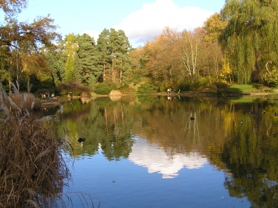 Herbststimmung im Bamberger Hain