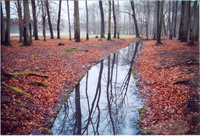 Waldspaziergang