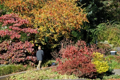 die Farben des Herbstes