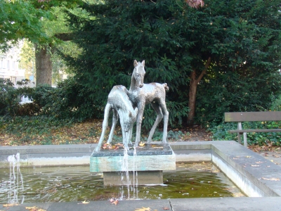 Fohlen - Springbrunnen (2)
