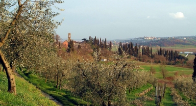 Blick auf Monte San Savino (Toscana)