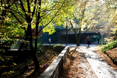 Parkweg im Gegenlicht