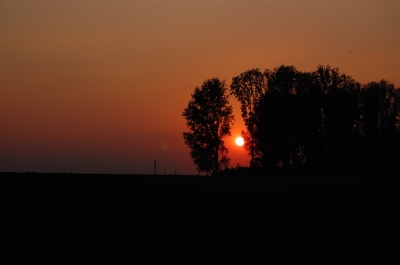 Sonnenuntergang zu Dormagen am Rhein