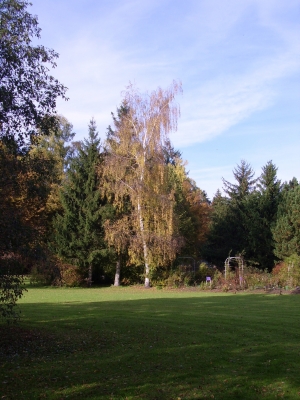 Park in Bad Wörishofen
